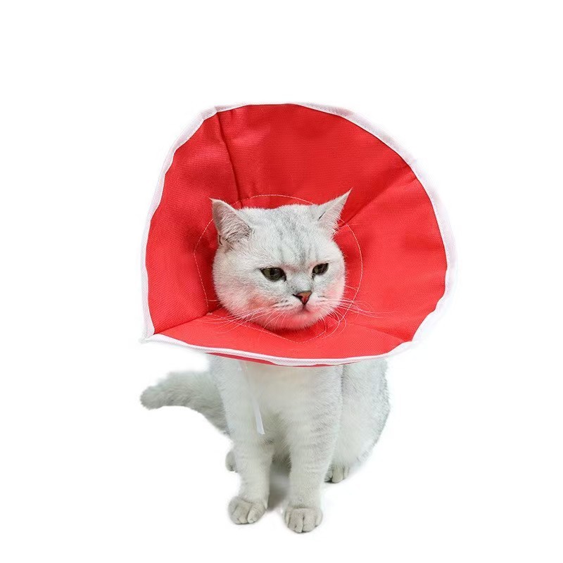 Cat Elizabeth Collar Non-Woven Fabric Breathable Lightweight