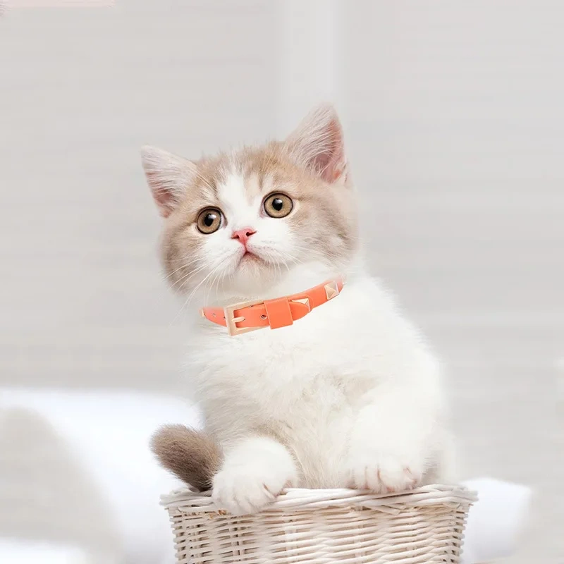 New Cat Collar Cat Accessories Gold Rivet Solid Color Leather Cat Collar Pets Accessories Wholesale