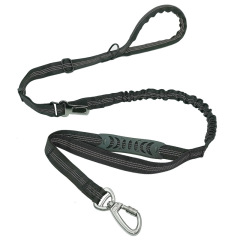 Large dog nylon explosion-proof leash