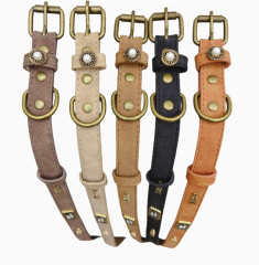 Pet and leopard print PU collar