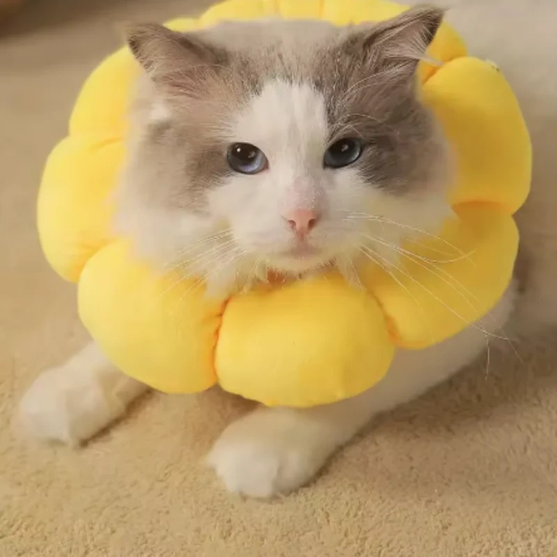 Sunflower Pet Adjustable Elizabethan Collar for Cats Soft Plush Anti-Bite Anti-Lick Surgery Recovery Cat Protection Wound Healin