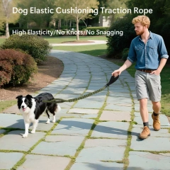 New Resilient dog leash with shock absorption and 2 padded control handles for medium to large dogs