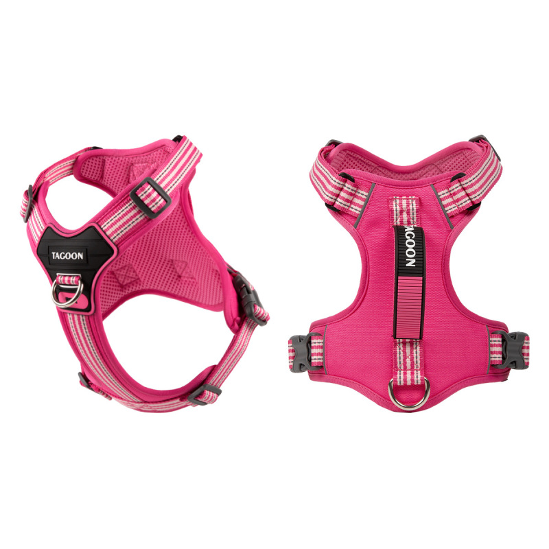 Pet dog harness