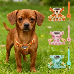 Puppy Print Dog Harness & Leash Set - Cute Adjustable Soft Padded Vest, No Pull Pet Walking Gear for Small Medium Dogs