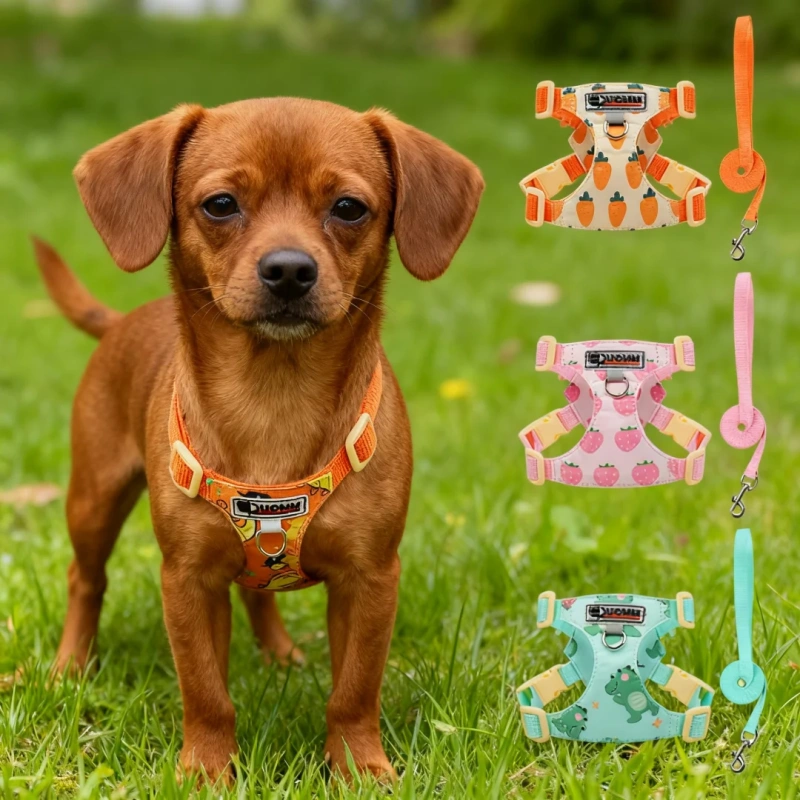 Puppy Print Dog Harness & Leash Set - Cute Adjustable Soft Padded Vest, No Pull Pet Walking Gear for Small Medium Dogs
