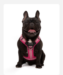 Pet dog harness