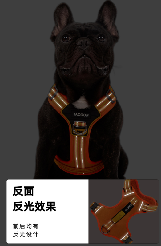 Pet dog harness