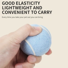 Eco-Friendly Throwing Dog Chew Toys Wholesale Rubber Pet Tennis Balls Interactive Dog Toy Ball