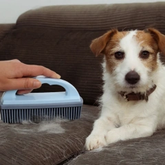Pet Comb & Bath Brush Set - Soft Bristle Dog Massage Brush, Foaming Bath Brush for Pets, Shedding Hair Removal Brush,