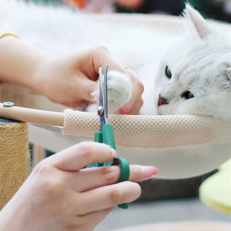 Portable Professional with Round Tip Durable Plastic Pets Cat Dog Durable Safety Hair Dog Grooming Accessories