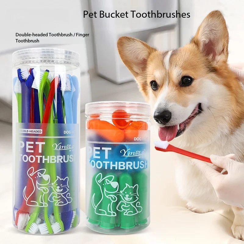 Pet Oral Cleaning Set Tube-packed Double-headed & Finger Toothbrush Dog Teeth Care Kit Wholesale
