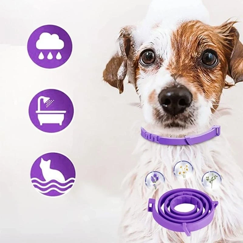 Pheromone Collar Aggressive Therapy Calming Collar for Pet Separation Relax