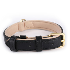 Leather Dog Collar Neoprene Padded Solid Leather Dog Collar 5-speed Adjustment Leather Collar