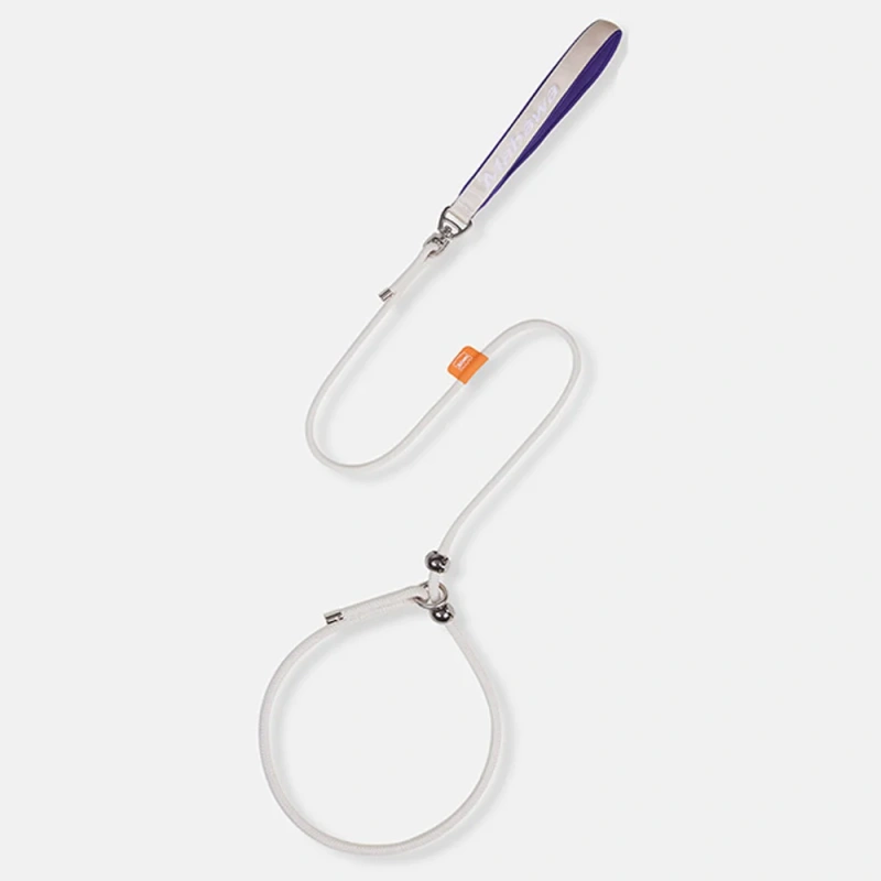 6mm Very Thin Ultra Fine Small Dog Leash Fashion Pet Round Rope Lead P Chain Collar With Handle Training Puppy Walking Leash