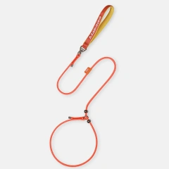 6mm Very Thin Ultra Fine Small Dog Leash Fashion Pet Round Rope Lead P Chain Collar With Handle Training Puppy Walking Leash