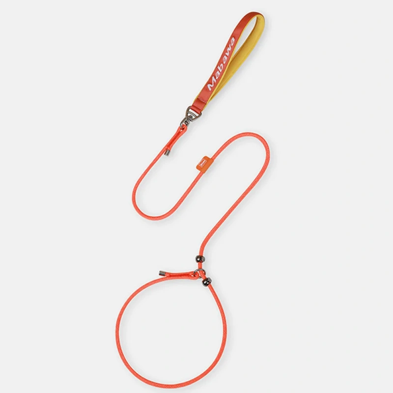 6mm Very Thin Ultra Fine Small Dog Leash Fashion Pet Round Rope Lead P Chain Collar With Handle Training Puppy Walking Leash