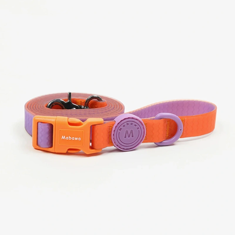 Fashion Candy Color Small Dog Leash Cat Pet Lead Rope For Small Medium Dogs Leashes