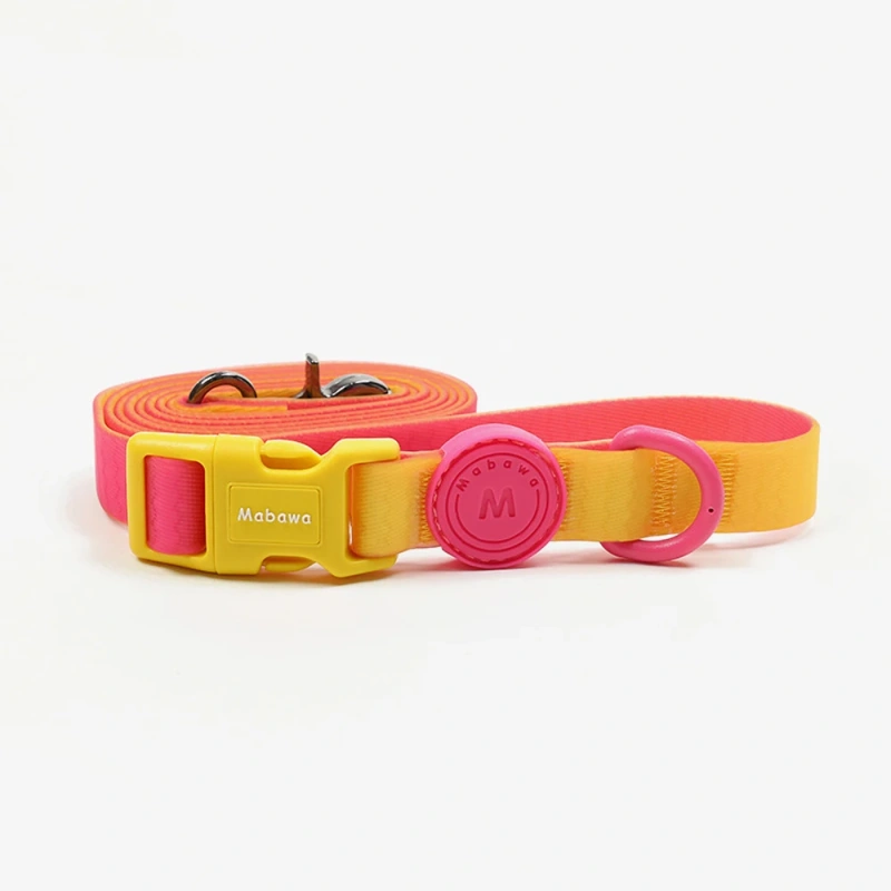 Fashion Candy Color Small Dog Leash Cat Pet Lead Rope For Small Medium Dogs Leashes