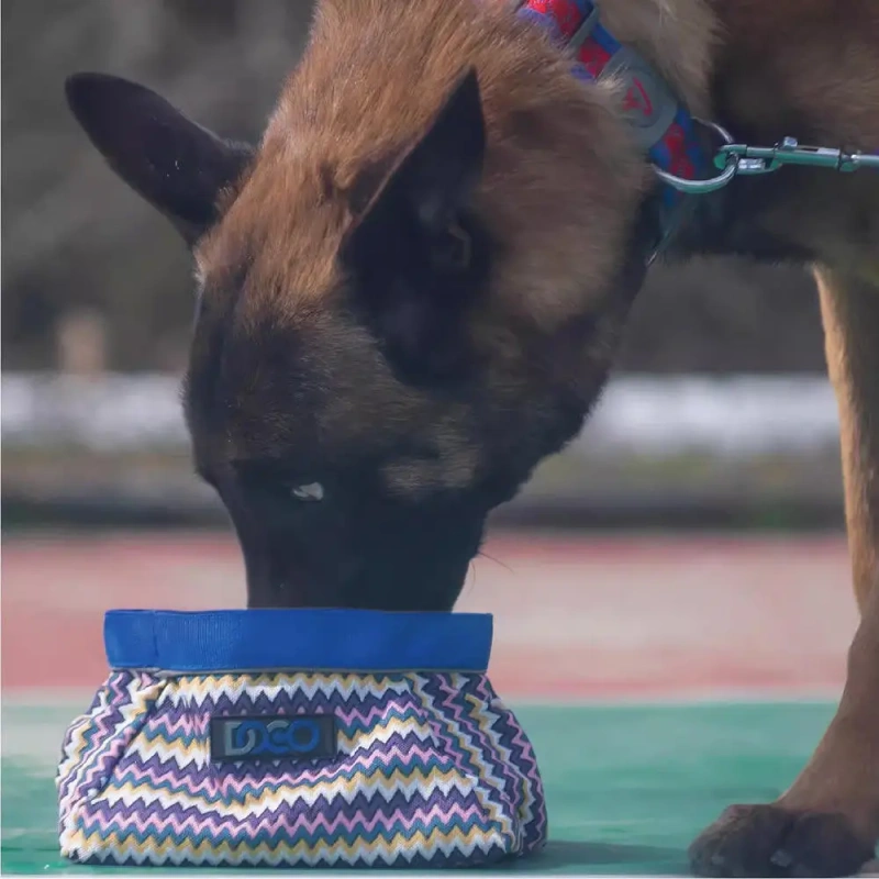Dropshipping Products 2024 Pet Bowls Foldable Waterproof Cloth Portable Travel Magnet Folding Multifunctional Dog Bowl
