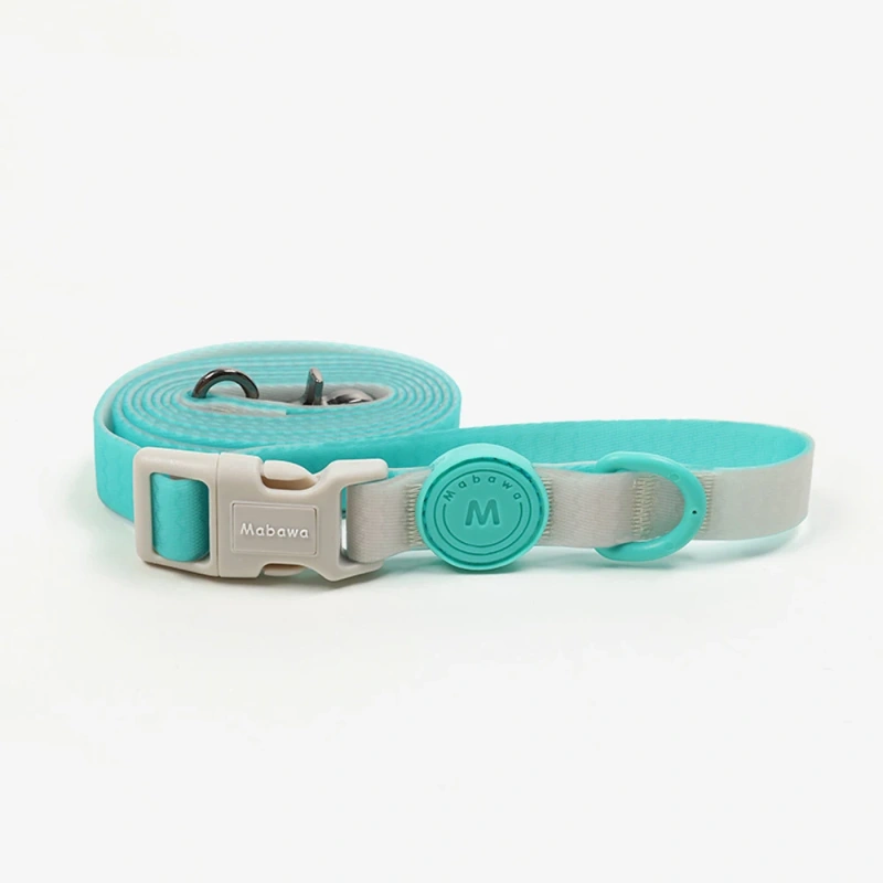 Fashion Candy Color Small Dog Leash Cat Pet Lead Rope For Small Medium Dogs Leashes