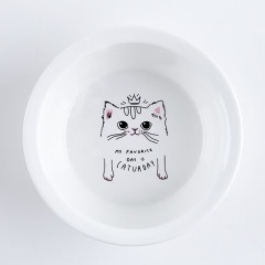 Ceramic bowl for pet cats