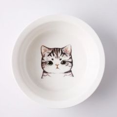 Ceramic bowl for pet cats