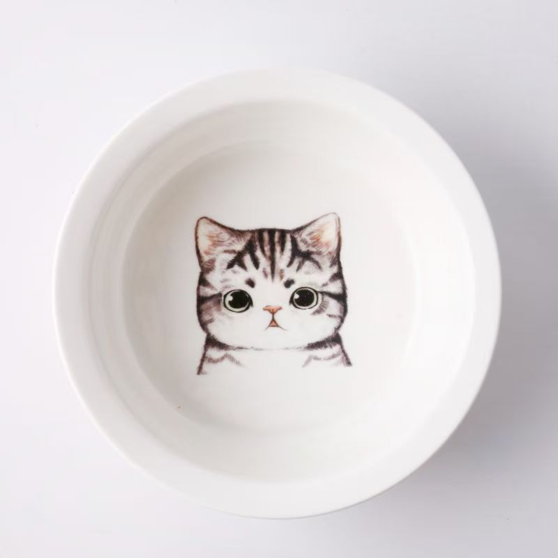 Ceramic bowl for pet cats