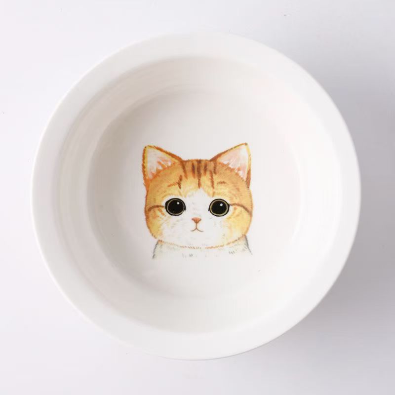 Ceramic bowl for pet cats