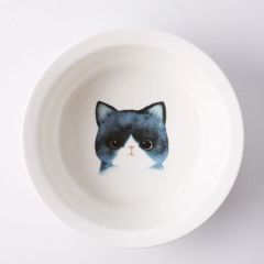 Ceramic bowl for pet cats