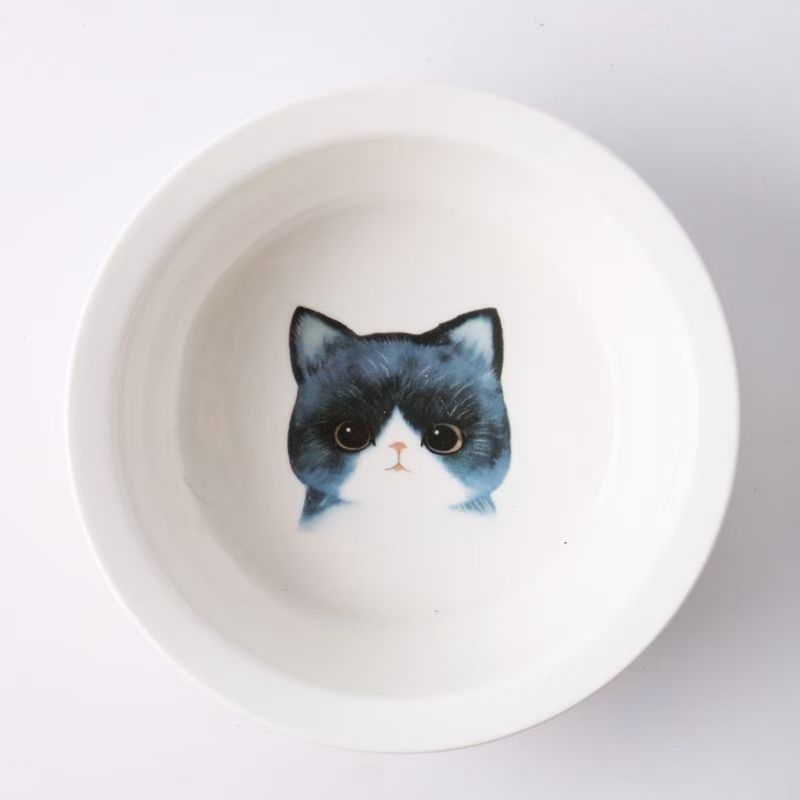 Ceramic bowl for pet cats