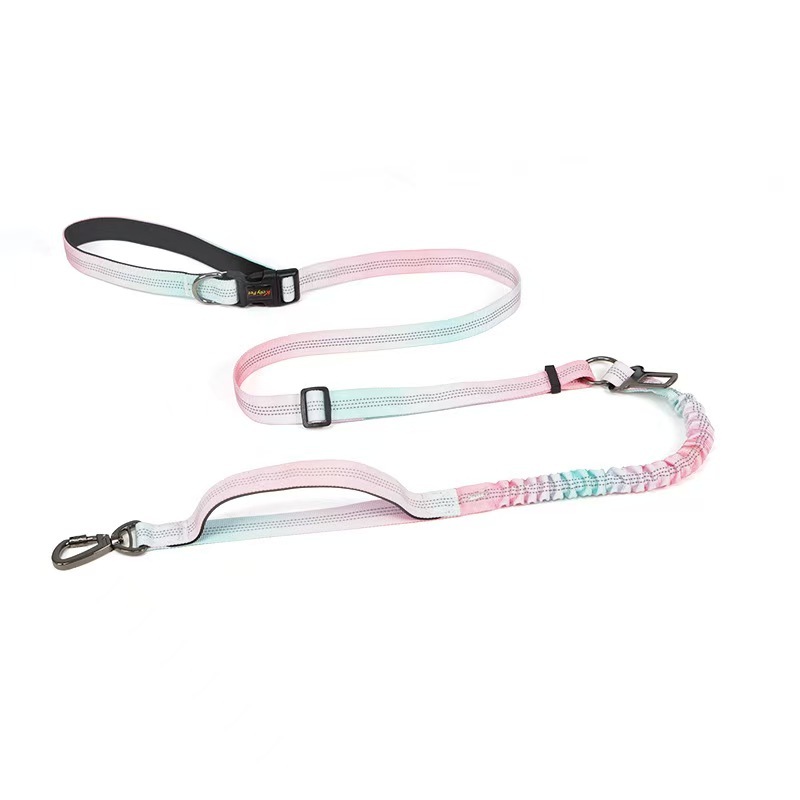 KellyPet Dog Luxury Tactical Nylon Leash