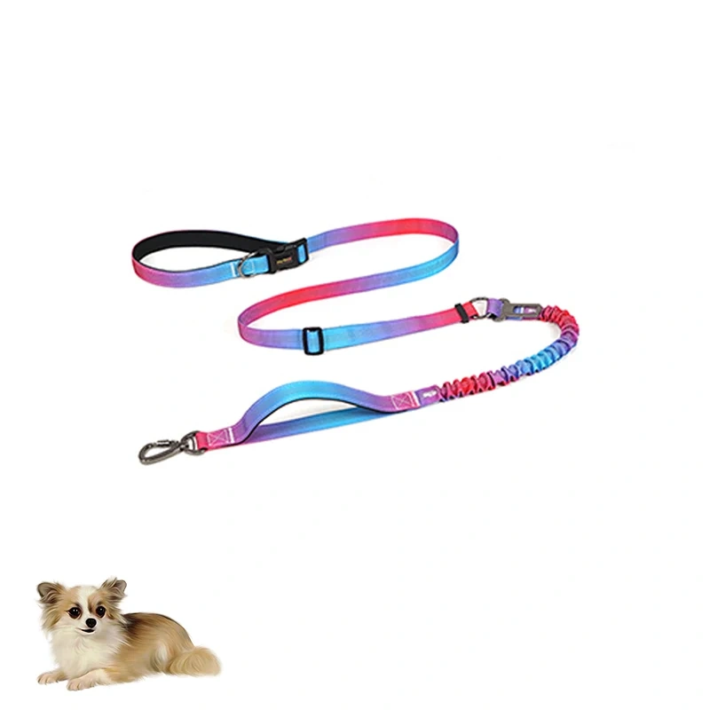 Dog Collar And Set Luxury Tactical Custom Harness Nylon Designer Retractable Leashes Supplier