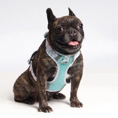 Custom Luxury Vest Style Nylon Dog Harness Breathable Comfort Pet Mesh Sports Leash Reflective Feature Wholesale Cartoon Design