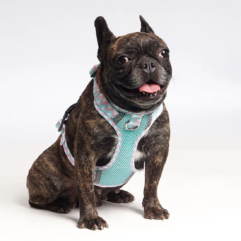Custom Luxury Vest Style Nylon Dog Harness Breathable Comfort Pet Mesh Sports Leash Reflective Feature Wholesale Cartoon Design