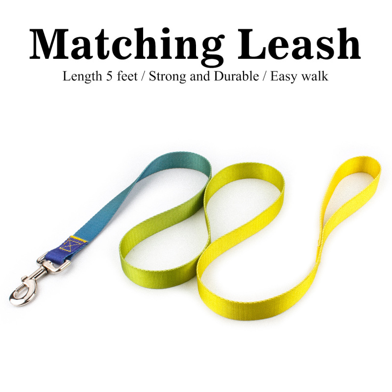 Dog Collar Leash Set