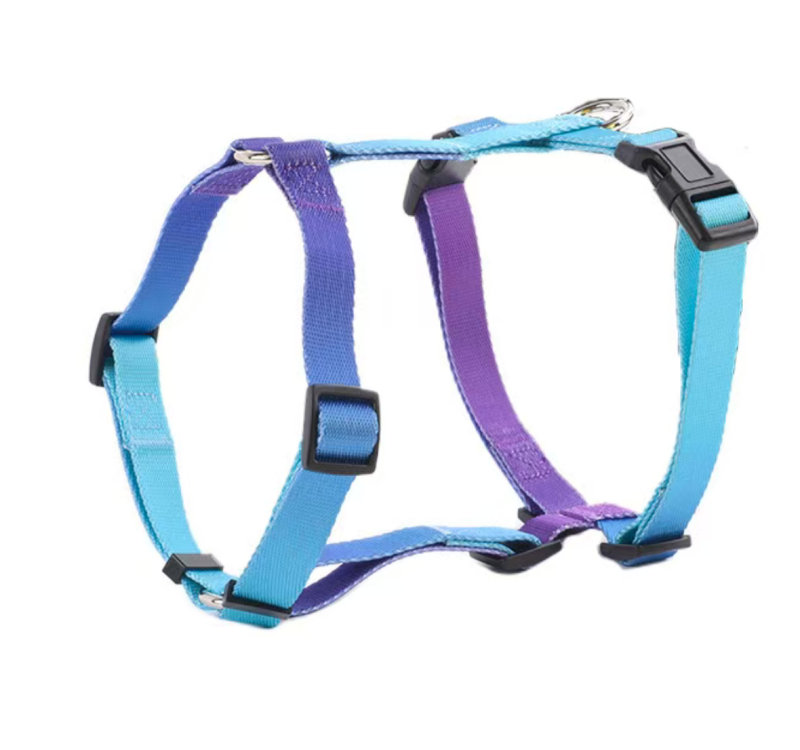 Dog Collar Leash Set