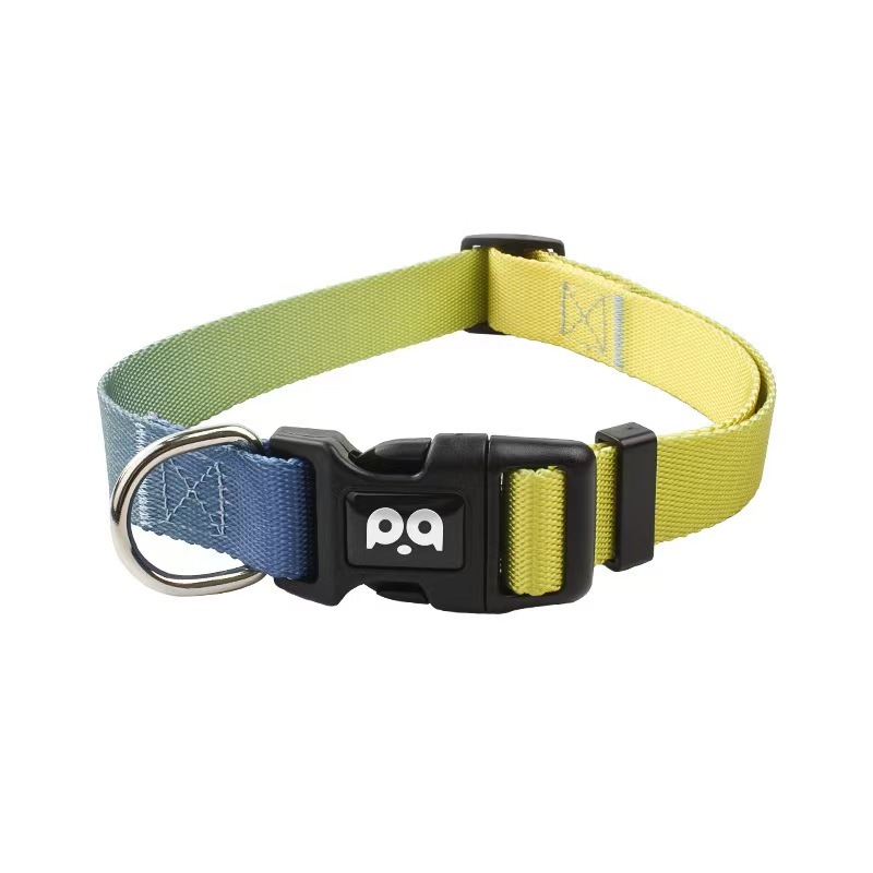 Dog Collar Leash Set
