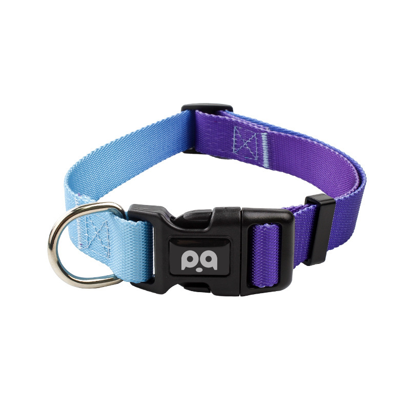 Dog Collar Leash Set