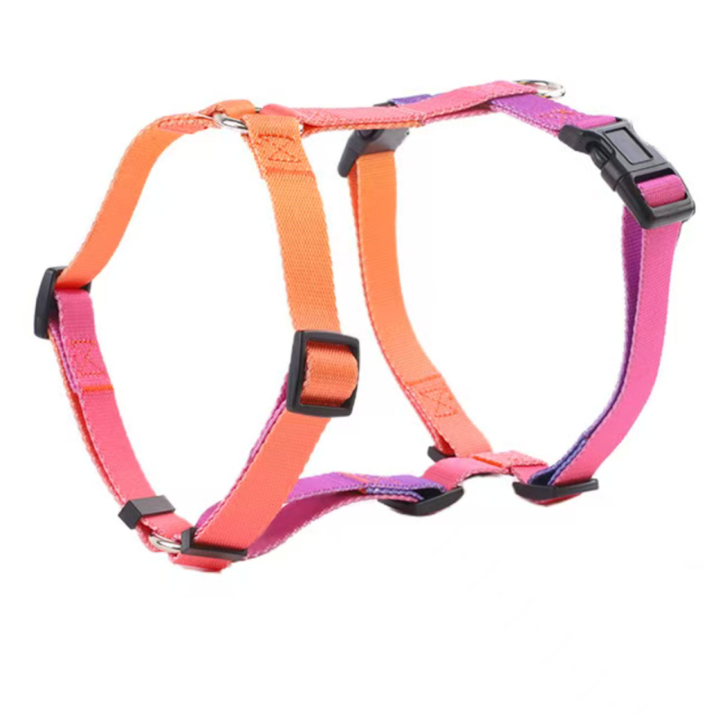 Dog Collar Leash Set