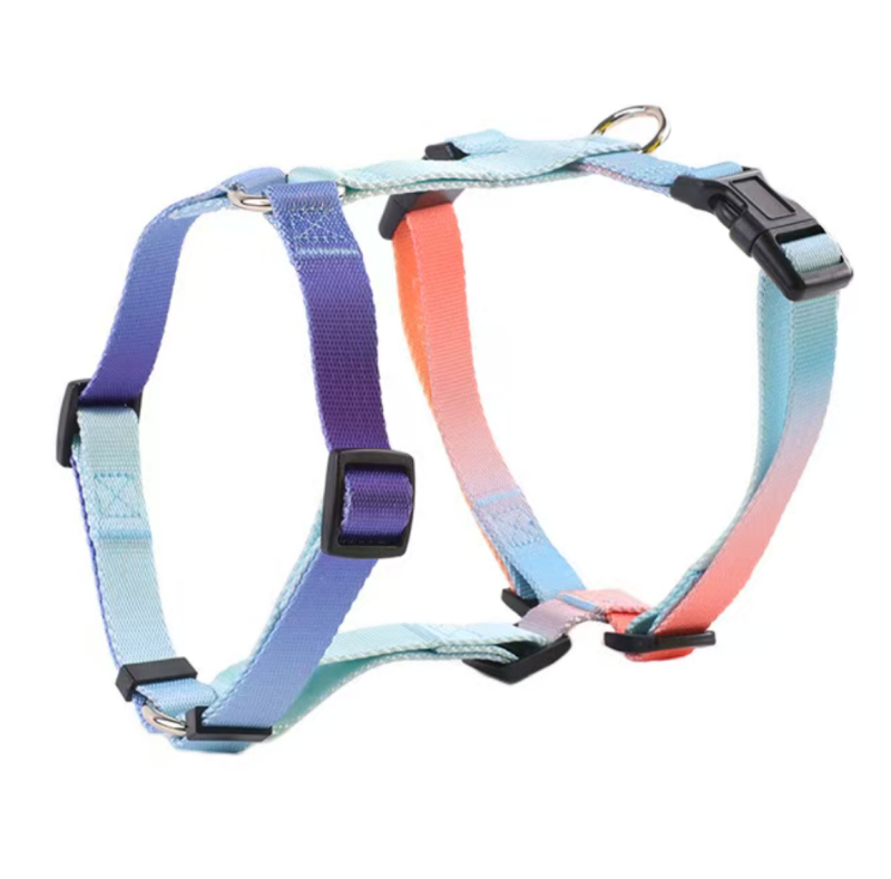 Dog Collar Leash Set