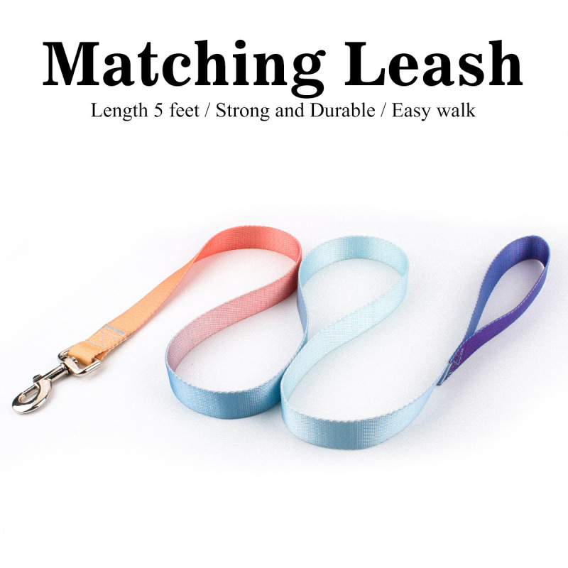 Dog Collar Leash Set
