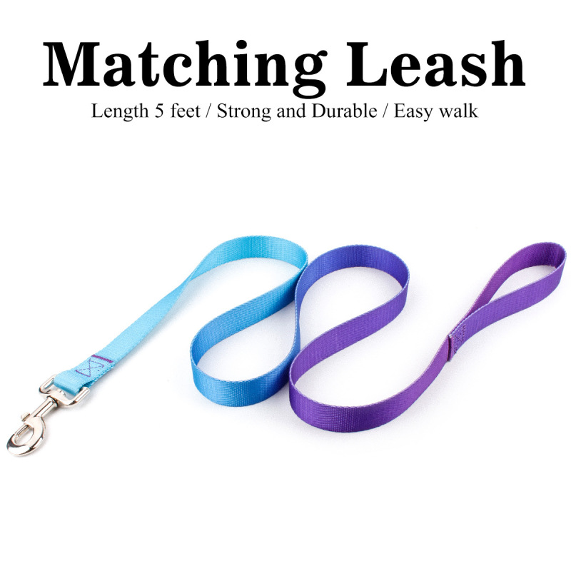 Dog Collar Leash Set