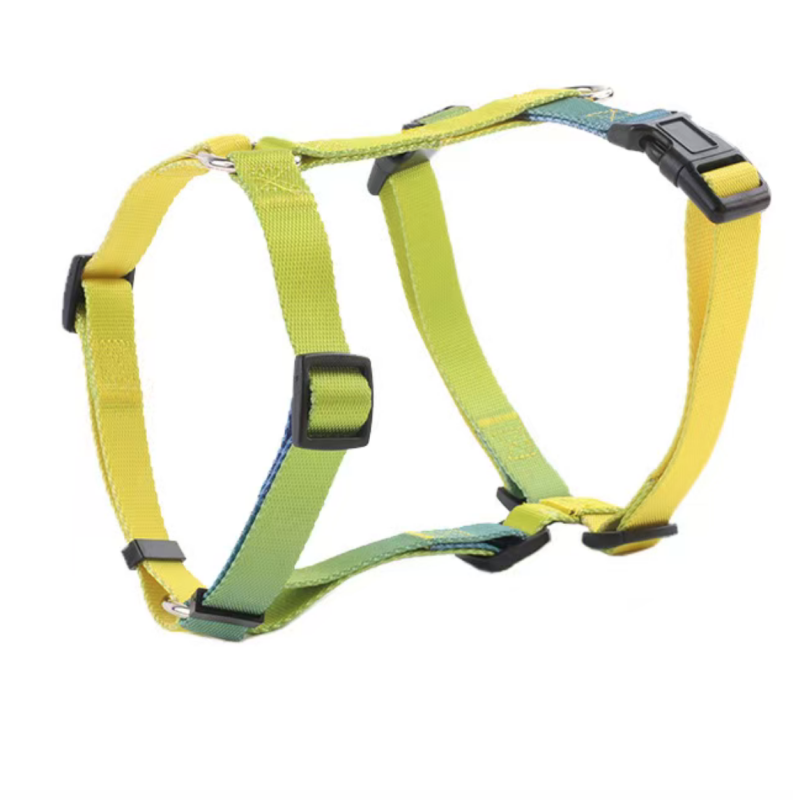 Dog Collar Leash Set
