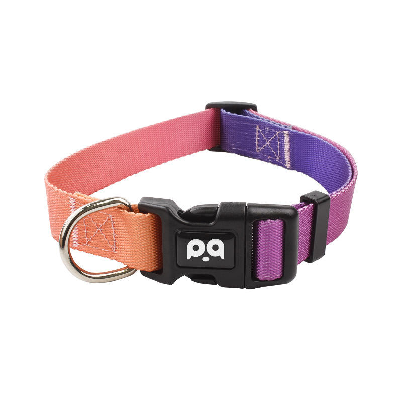 Dog Collar Leash Set