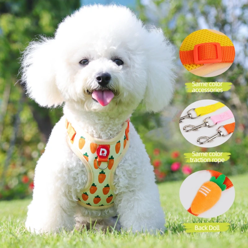 Comfortable Vest Style Dog Harness for Small Breeds - No-Pull Breathable Pet Harness with Leash Adjustable for Bichon Dogs