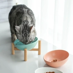 Cat Bowl Ceramic Slanted Food Water Feeding Bowl for Cat Dog Pets