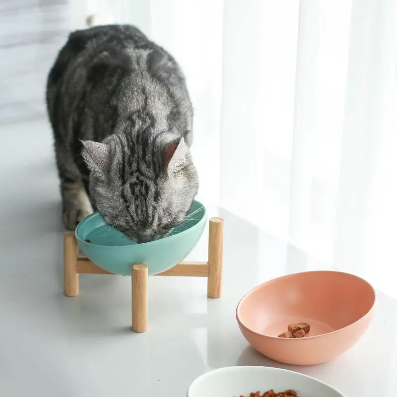 Cat Bowl Ceramic Slanted Food Water Feeding Bowl for Cat Dog Pets