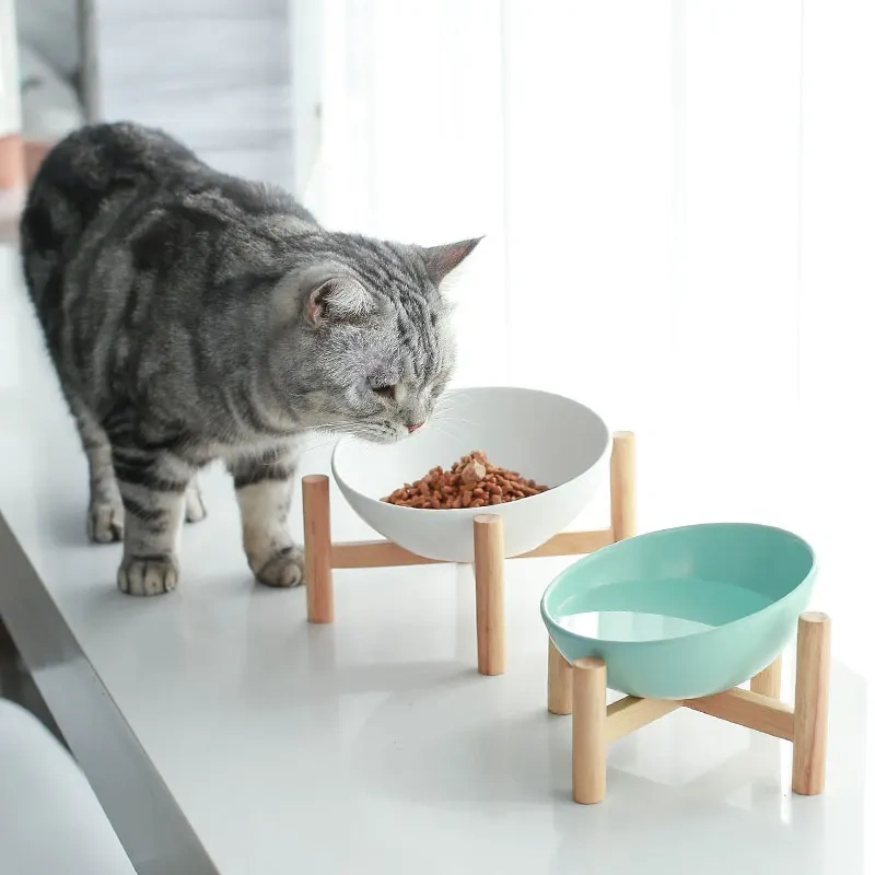 Cat Bowl Ceramic Slanted Food Water Feeding Bowl for Cat Dog Pets