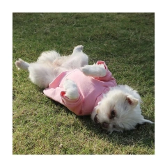 Wholesales Pet Dog Custom Clothes Plain Blank Dog Hoodie Pet Clothes