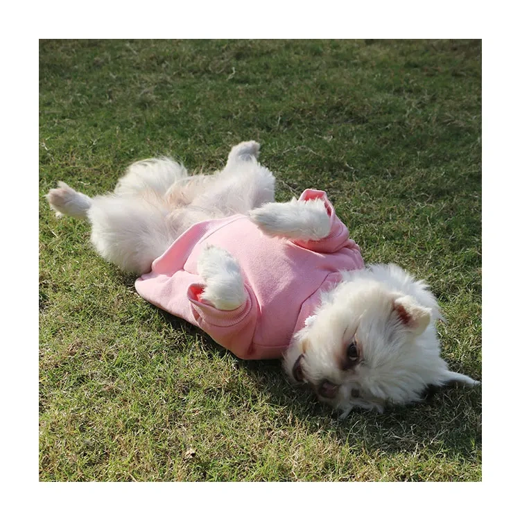 Wholesales Pet Dog Custom Clothes Plain Blank Dog Hoodie Pet Clothes